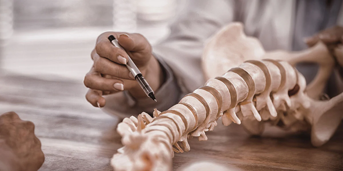 Chiropractic Care in North York – What to Know Before You Book – Image 1 Chiropractic Care in North York - What to Know Before You Book - Image 1