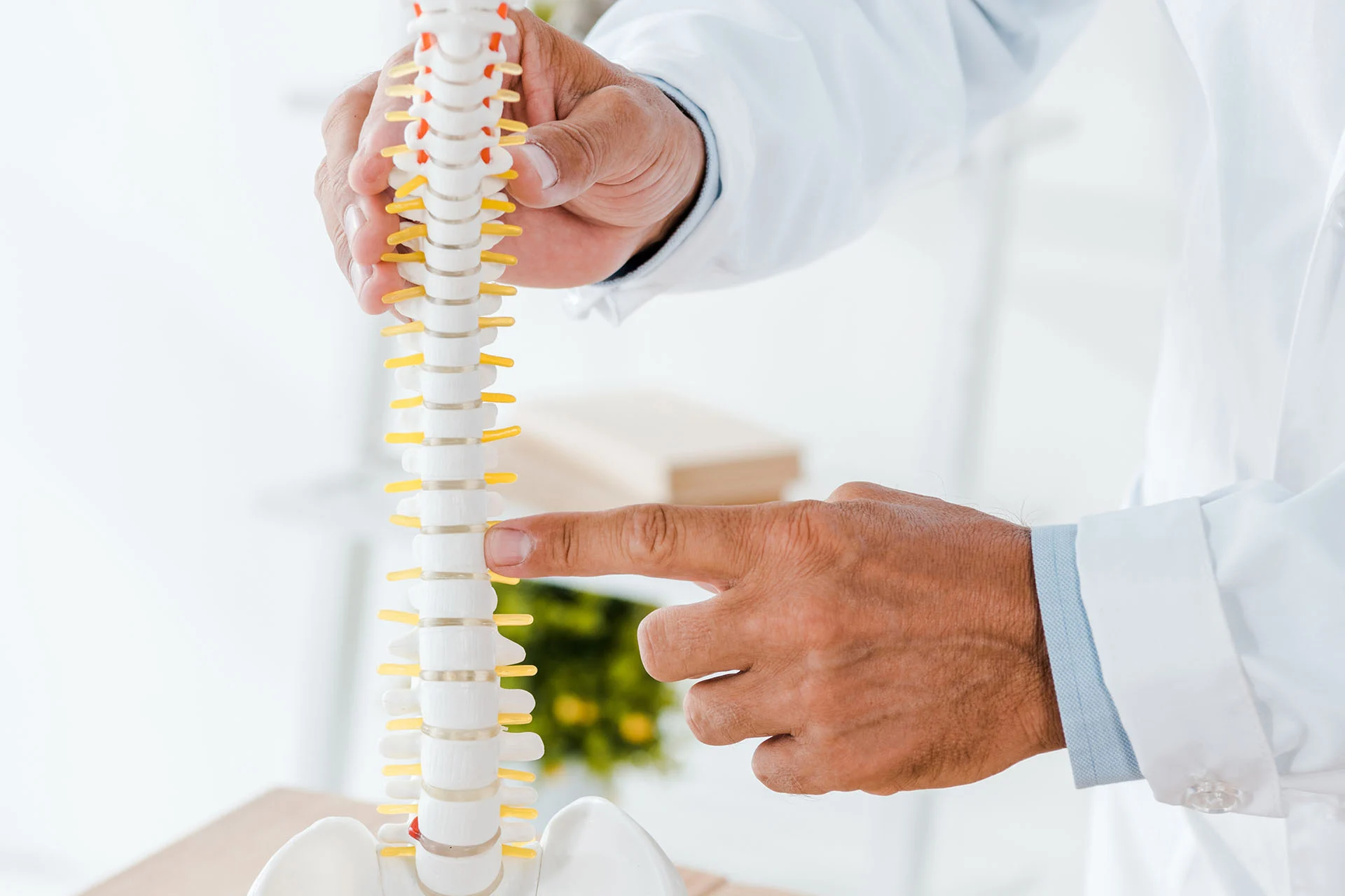 Chiropractor vs Physiotherapist vs Massage Therapist – Which One Do You Need – Featured Image Chiropractor vs Physiotherapist vs Massage Therapist - Which One Do You Need - Featured Image