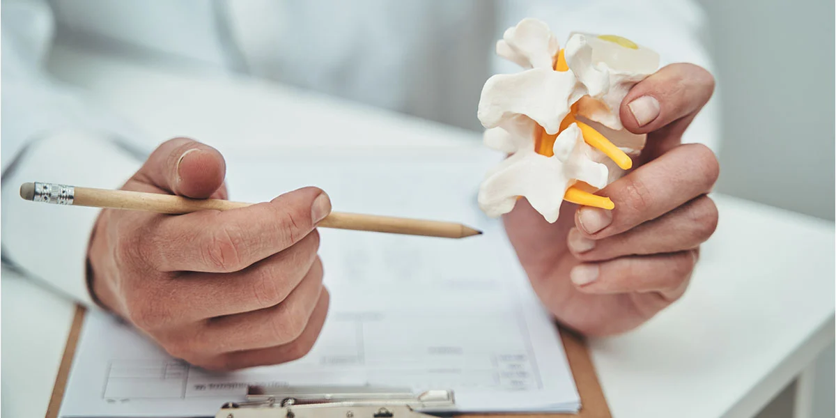 Chiropractic Care for Scarborough - Why Patients Make the Drive to South Unionville - Image 1