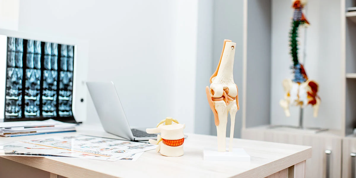 Chiropractic Care for Scarborough - Why Patients Make the Drive to South Unionville - Image 2